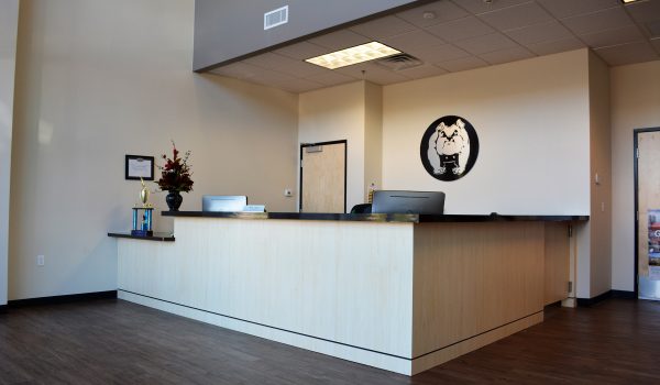 Arizona Charter AcademyACA8